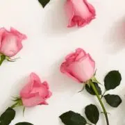 m【SALE開催中.即購入可⭕️】の画像