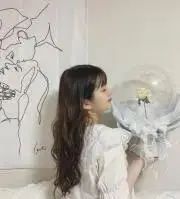 ななつの画像