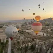 Tの画像