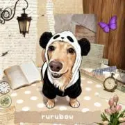 rurubouの画像