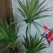 スイートピー