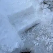 ふにぃの画像