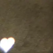 SS