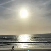リリイ