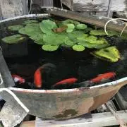 うー【プロフ必見】の画像