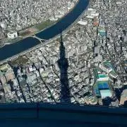 ぱるるの画像