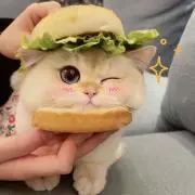 Miyuの画像