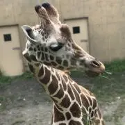ルンルンの画像