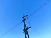 トー君