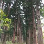 hukuの画像
