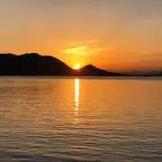 UU.即日発送✴︎の画像