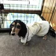 みやちゃんの画像