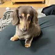 maronの画像