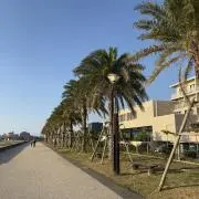 シロクマアクエリアスの画像