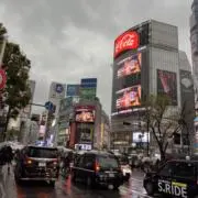 バジオウの画像