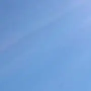 マックス