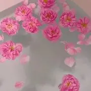 サニーの画像