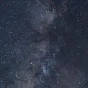 ぽむぽむ
