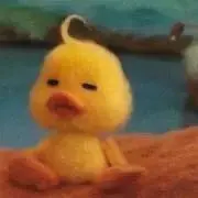 rinkaの画像