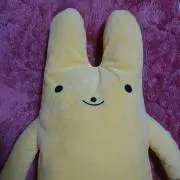 ぴょんの画像