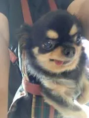 モモココ