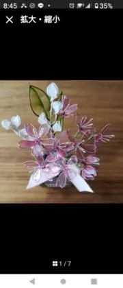 Coccoの画像