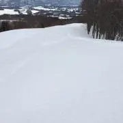 Gメンの画像