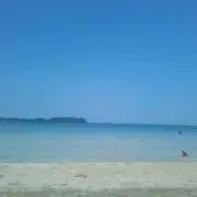 OMCの画像