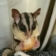 ジョン