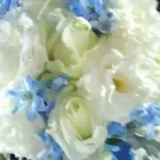 suu...の画像