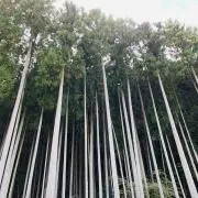 Shin2059の画像