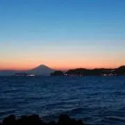 shigezoの画像