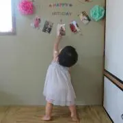 ミモザの画像