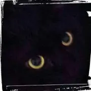 くろまめの画像