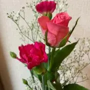 ☆©️hinsan⭐︎