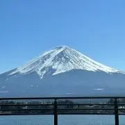 とろまるの画像