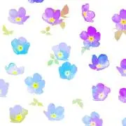 サワコの画像