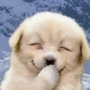 Momongatonanaの画像