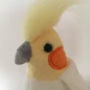 ぴよの画像
