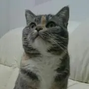 タムタム♪