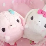 ねこ