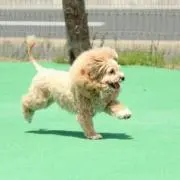 ゆき