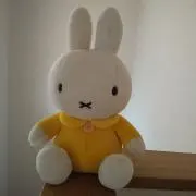 muutonの画像