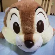 かず