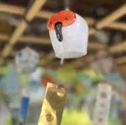 あいあいの画像