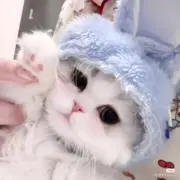 Snowy/即購入可の画像