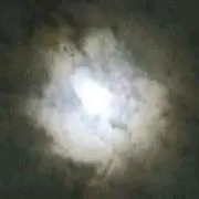おちりょう