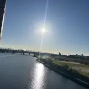 わざにがの画像