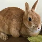 tokki97の画像