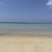 tyの画像